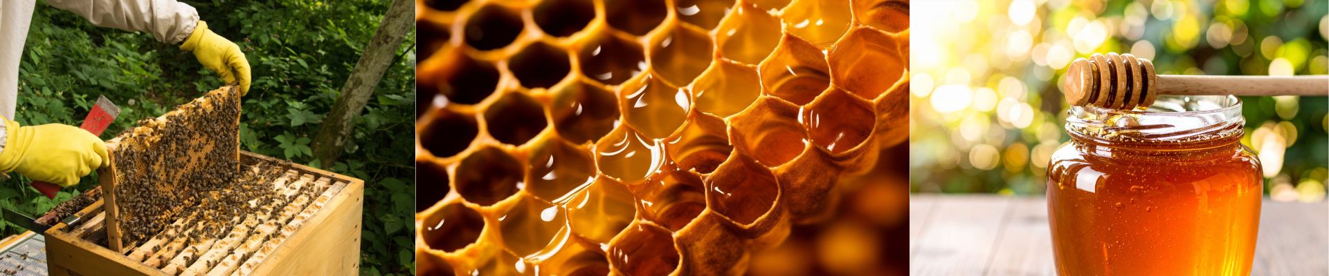 Beekeeping