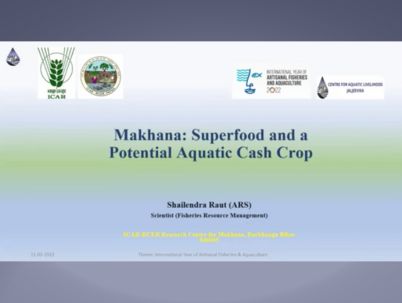 Makhana: Superfood and a Potential Aquatic Cash