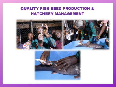 Quality Fish Seed Production & Hatchery Management